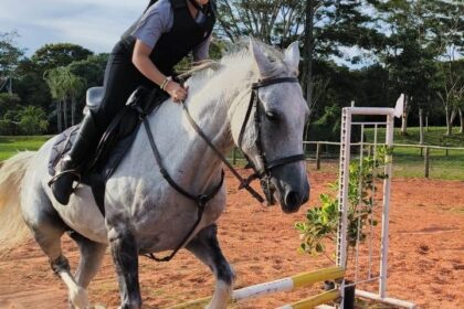Primeira escola pública de equitaão de Mato Grosso do Sul - Foto: Divulgação SEJUSP
