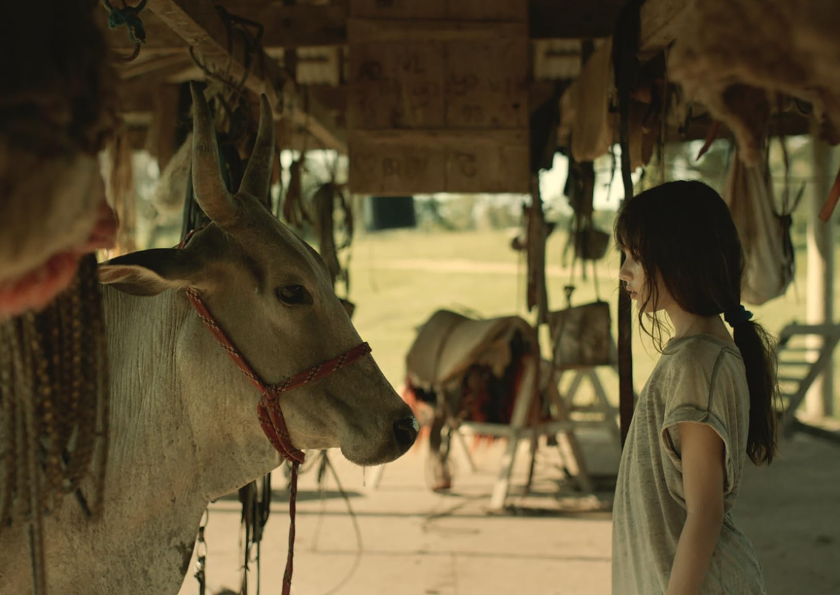 Filme gravado no Pantanal de MS será exibido no 35º Cine Ceará