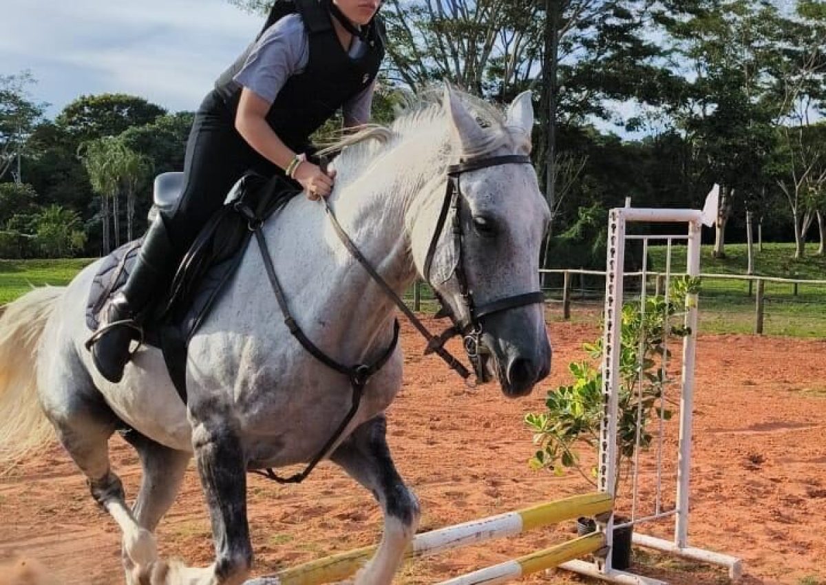 Primeira escola pública de equitaão de Mato Grosso do Sul - Foto: Divulgação SEJUSP